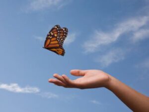 letting go, organizing,