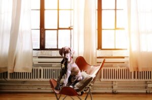 freedom, free time, uncluttered