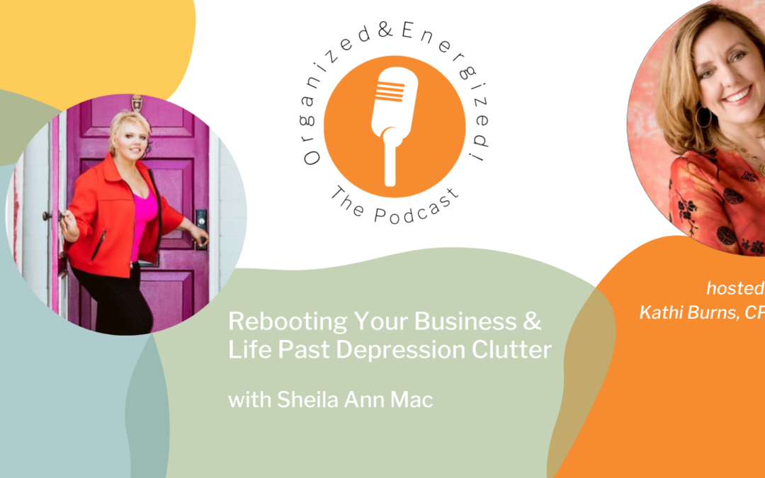 Rebooting Your Business & Life Past Depression Clutter with Sheila Ann Mac
