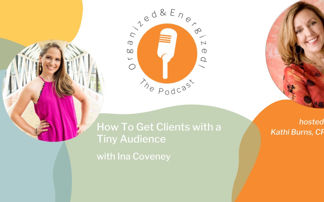 How To Get Clients with a Tiny Audience with Ina Coveney