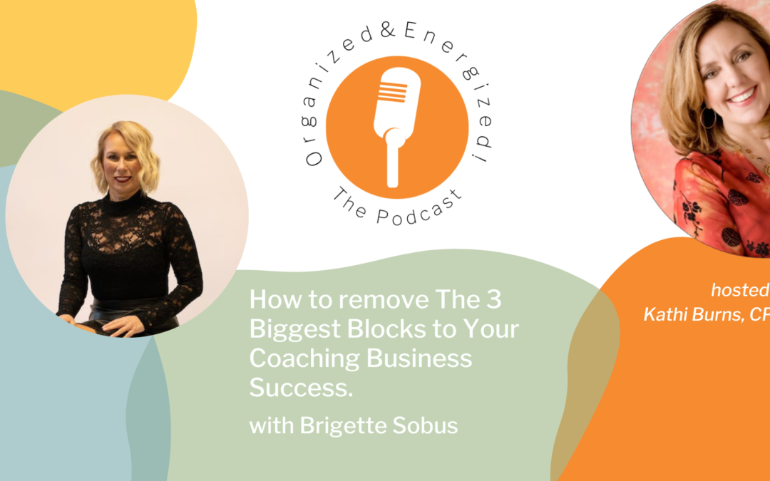 How to remove The 3 Biggest Blocks to Your Coaching Business Success with Brigette Sobus