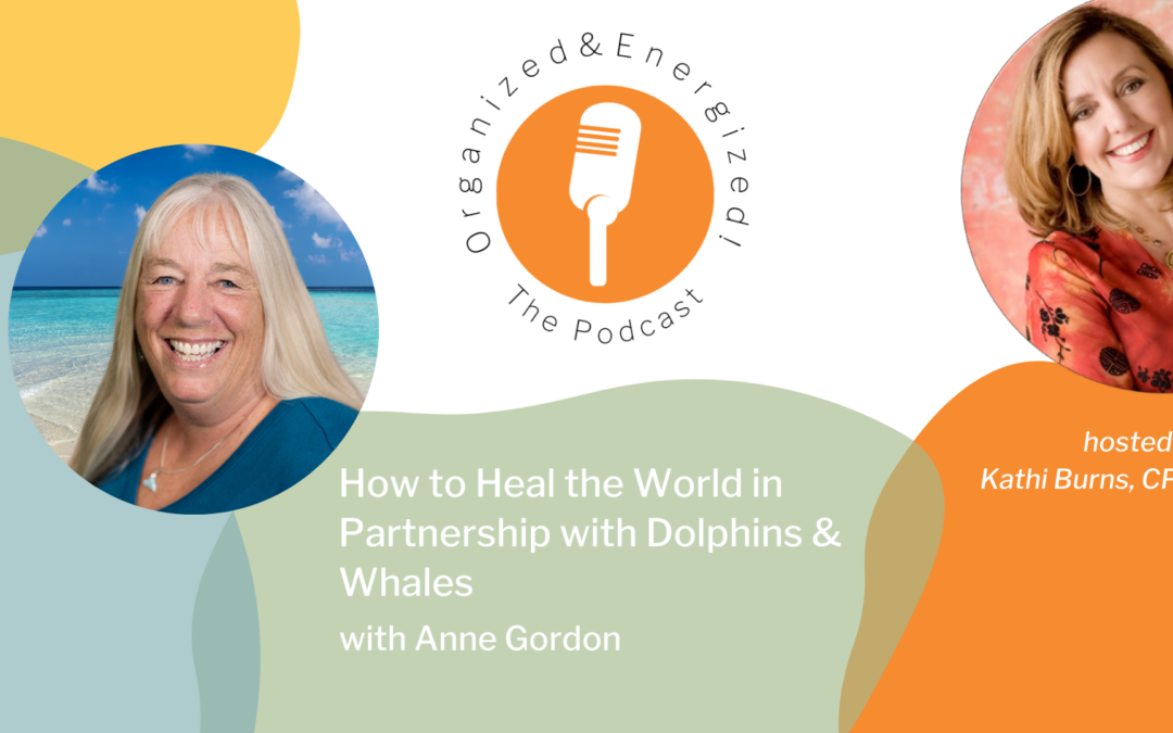 How to Heal the World in Partnership with Dolphins & Whales with Ann Gordon
